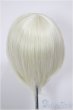画像2: 8-9inch/ウィッグ/インチ　BJD　MJD　ドール用 A-26-01-04-357-NY-ZA (2)