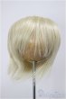 画像1: 8-9inch/ウィッグ/インチ　BJD　MJD　ドール用 A-26-01-04-358-NY-ZA (1)