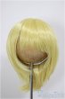 画像1: 8-9inch/ウィッグ/インチ　BJD　MJD　ドール用 A-26-01-04-359-NY-ZA (1)