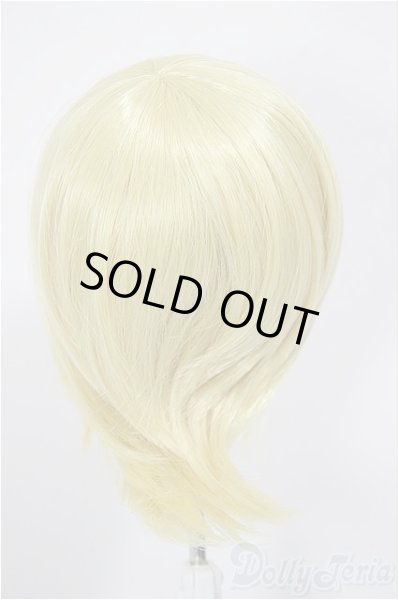 画像2: 8-9inch/ウィッグ/インチ　BJD　MJD　ドール用 A-26-01-04-359-NY-ZA (2)