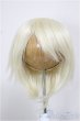 画像1: 9-10inch/ウィッグ　CROBI製/インチ　BJD　MJD　ドール用 A-26-01-04-386-NY-ZA (1)