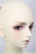 画像3: SDGｒ男の子/F-88　ワンオフモデル　つきみ様メイク/BJD　球体関節人形 A-26-01-04-399-NY-ZA (3)
