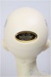 画像5: SDGｒ男の子/F-88　ワンオフモデル　つきみ様メイク/BJD　球体関節人形 A-26-01-04-399-NY-ZA (5)