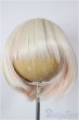 画像1: 8-9inch/ウィッグ/インチ　BJD　MJD　ドール用 A-26-01-07-123-NY-ZA (1)