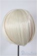 画像2: 8-9inch/ウィッグ/インチ　BJD　MJD　ドール用 A-26-01-07-123-NY-ZA (2)