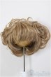 画像1: 9inch/ウィッグ/インチ　BJD　MJD　ドール用 A-26-01-14-266-NY-ZA (1)