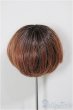 画像2: 8-9inch/ウィッグ/インチ　BJD　MJD　ドール用 A-26-01-07-295-NY-ZA (2)