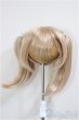画像1: 8-9inch/ウィッグ/インチ　BJD　MJD　ドール用 A-26-01-14-240-NY-ZA (1)