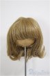 画像1: 8inch/ウィッグ/インチ　BJD　MJD　ドール用 A-26-01-14-241-NY-ZA (1)