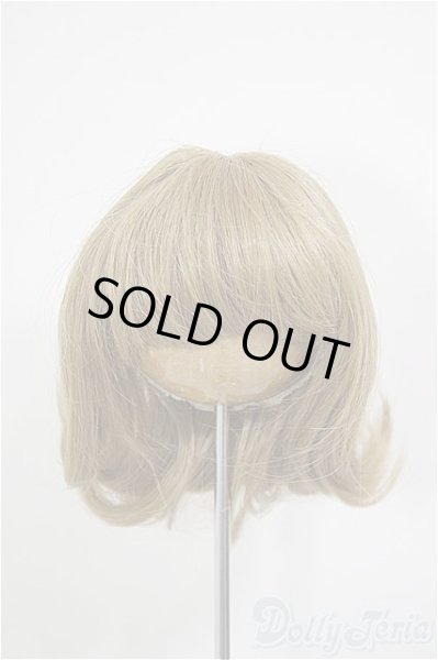 画像1: 8inch/ウィッグ/インチ　BJD　MJD　ドール用 A-26-01-14-241-NY-ZA (1)