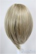画像2: 8-9inch/ウィッグ　Hannasu製/インチ　BJD　MJD　ドール用 A-26-01-14-239-NY-ZA (2)