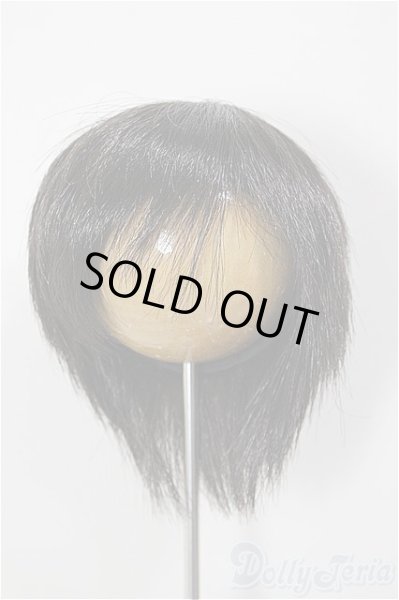 画像1: 8-9inch/ウィッグ/インチ　BJD　MJD　ドール用 A-26-01-14-261-NY-ZA (1)