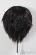 画像2: 8-9inch/ウィッグ/インチ　BJD　MJD　ドール用 A-26-01-14-261-NY-ZA (2)