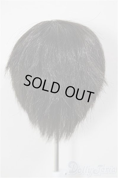 画像2: 8-9inch/ウィッグ/インチ　BJD　MJD　ドール用 A-26-01-14-261-NY-ZA (2)