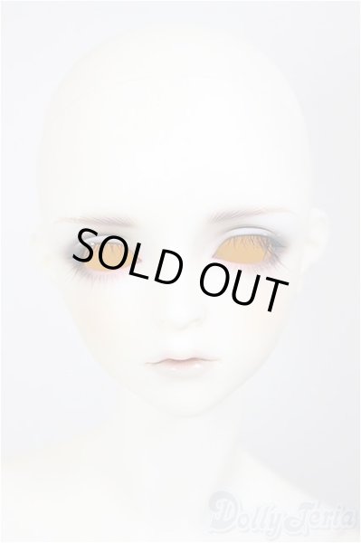 画像2: SDGrB/フルチョイス:F-105(つきみ様メイク)/BJD　球体関節人形 A-26-01-14-211-NY-ZA (2)