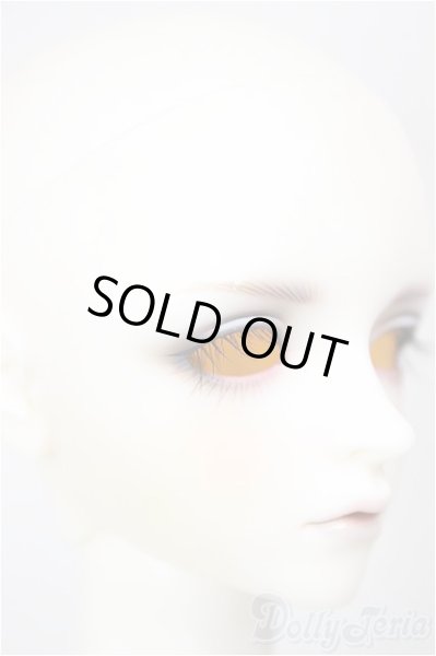 画像3: SDGrB/フルチョイス:F-105(つきみ様メイク)/BJD　球体関節人形 A-26-01-14-211-NY-ZA (3)