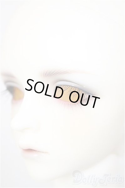 画像4: SDGrB/フルチョイス:F-105(つきみ様メイク)/BJD　球体関節人形 A-26-01-14-211-NY-ZA (4)