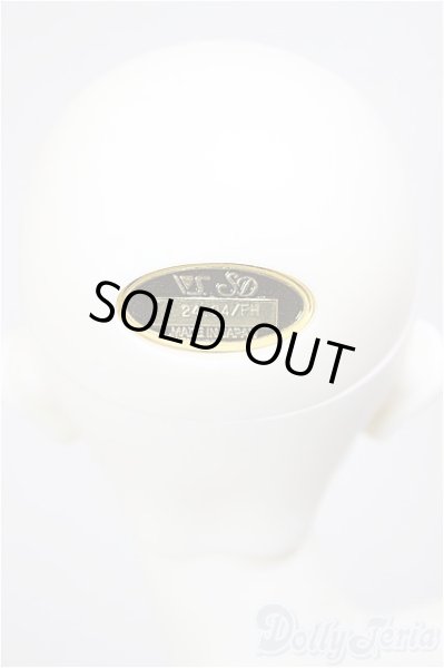 画像5: SDGrB/フルチョイス:F-105(つきみ様メイク)/BJD　球体関節人形 A-26-01-14-211-NY-ZA (5)