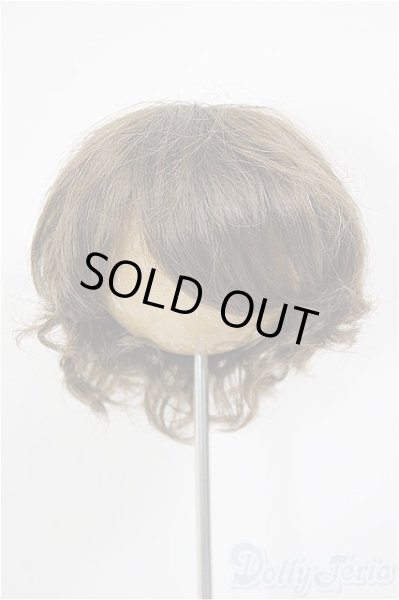 画像1: 8-9inch/W-171D-2:ウィッグ/インチ　BJD　MJD　ドール用 A-26-01-14-226-NY-ZA (1)