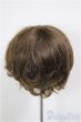 画像2: 8-9inch/W-171D-2:ウィッグ/インチ　BJD　MJD　ドール用 A-26-01-14-226-NY-ZA (2)