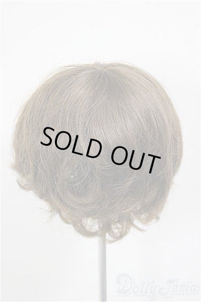 画像2: 8-9inch/W-171D-2:ウィッグ/インチ　BJD　MJD　ドール用 A-26-01-14-226-NY-ZA (2)