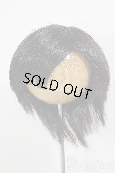 画像1: 8-9inch/W-163D-Charcoalbrown:ウィッグ/インチ　BJD　MJD　ドール用 A-26-01-14-227-NY-ZA (1)