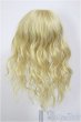 画像2: 7-8inch/W-177N-Biscuitgold:ウィッグ/インチ　BJD　MJD　ドール用 A-26-01-14-228-NY-ZA (2)