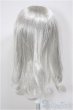 画像2: 7-8inch/ウィッグ/インチ　BJD　MJD　ドール用 A-26-01-14-224-NY-ZA (2)