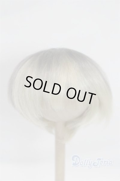 画像1: 8-9inch/ウィッグ/インチ　BJD　MJD　ドール用 A-26-01-28-075-NY-ZA (1)