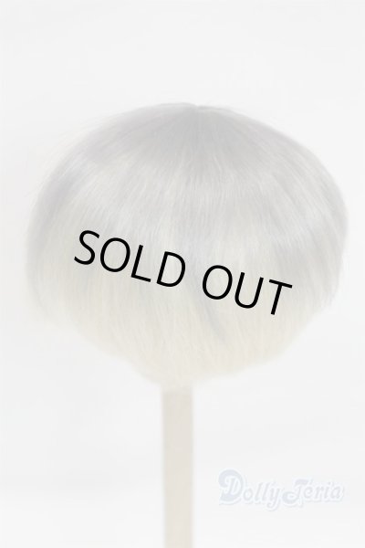 画像2: 8-9inch/ウィッグ/インチ　BJD　MJD　ドール用 A-26-01-28-075-NY-ZA (2)