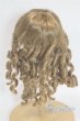 画像2: 7-8inch/ウィッグ/インチ　BJD　MJD　ドール用 A-26-01-28-057-NY-ZA (2)