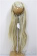 画像1: 8-9inch/ウィッグ/インチ　BJD　MJD　ドール用 A-26-01-21-147-NY-ZA (1)
