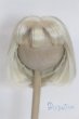 画像1: 8-9inch/ウィッグ　ChicaBi製/インチ　BJD　MJD　ドール用 A-26-02-11-028-NY-ZA (1)