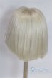 画像2: 8-9inch/ウィッグ　ChicaBi製/インチ　BJD　MJD　ドール用 A-26-02-11-028-NY-ZA (2)