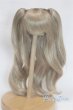 画像1: 6-7inch/ウィッグ/インチ　BJD　MJD　ドール用 A-26-02-11-049-NY-ZA (1)