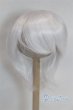 画像1: 8-9inch/ウィッグ/インチ　BJD　MJD　ドール用 A-26-02-11-026-NY-ZA (1)