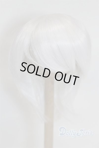 画像1: 8-9inch/ウィッグ/インチ　BJD　MJD　ドール用 A-26-02-11-026-NY-ZA (1)