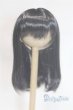 画像1: 7-8inch/ウィッグ/インチ　BJD　MJD　ドール用 A-26-02-11-050-NY-ZA (1)
