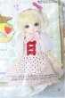 画像1: 幼SD/OF:うさずきんちゃんのお使い/1/6　30ｃｍ　BJD　MJD　衣装　ドール用 A-26-01-21-223-NY-ZA (1)
