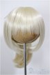 画像1: 8-9inch/ウィッグ/インチ　BJD　MJD　ドール用 A-26-01-21-247-NY-ZA (1)