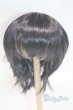 画像1: 8-9inch/ウィッグ/インチ　BJD　MJD　ドール用 A-26-02-04-084-NY-ZA (1)