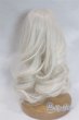 画像2: 6-7inch/ウィッグ/インチ　BJD　MJD　ドール用 A-26-02-04-078-NY-ZA (2)