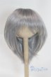 画像1: 7-8inch/ウィッグ/インチ　BJD　MJD　ドール用 A-26-02-04-093-NY-ZA (1)