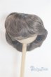 画像1: 9inch/ウィッグ/インチ　BJD　MJD　ドール用 A-26-02-11-015-NY-ZA (1)