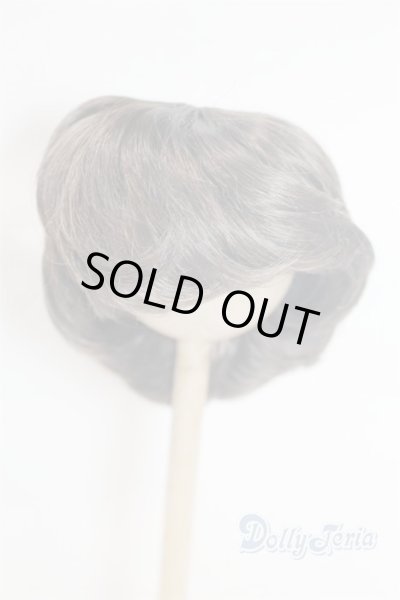 画像1: 9inch/ウィッグ/インチ　BJD　MJD　ドール用 A-26-02-11-015-NY-ZA (1)