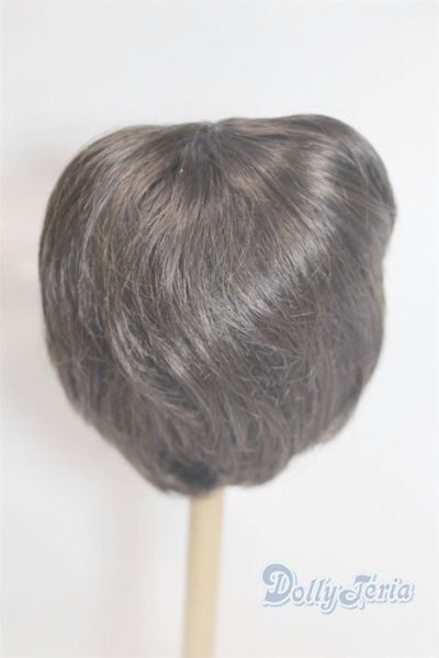 画像2: 9inch/ウィッグ/インチ　BJD　MJD　ドール用 A-26-02-11-015-NY-ZA (2)