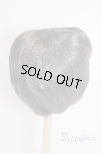 画像2: 9inch/ウィッグ/インチ　BJD　MJD　ドール用 A-26-02-11-015-NY-ZA (2)