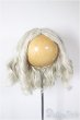 画像1: 8-9inch/ウィッグ/インチ　BJD　MJD　ドール用 A-26-01-28-310-NY-ZA (1)