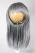 画像1: 8-9inch/ウィッグ/インチ　BJD　MJD　ドール用 A-26-01-28-312-NY-ZA (1)