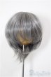 画像1: 8-9inch/ウィッグ A-26-02-11-134-NY-ZA (1)